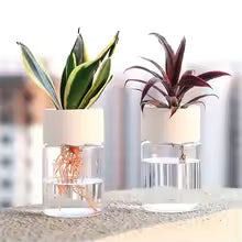 Mini Hydroponic Flower Pot h